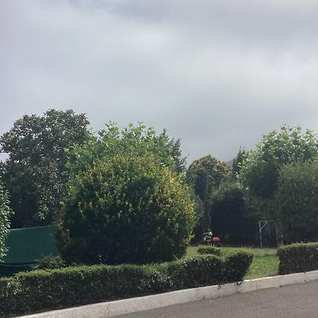 Вилла Corias Casona Junto Al Narcea Экстерьер фото