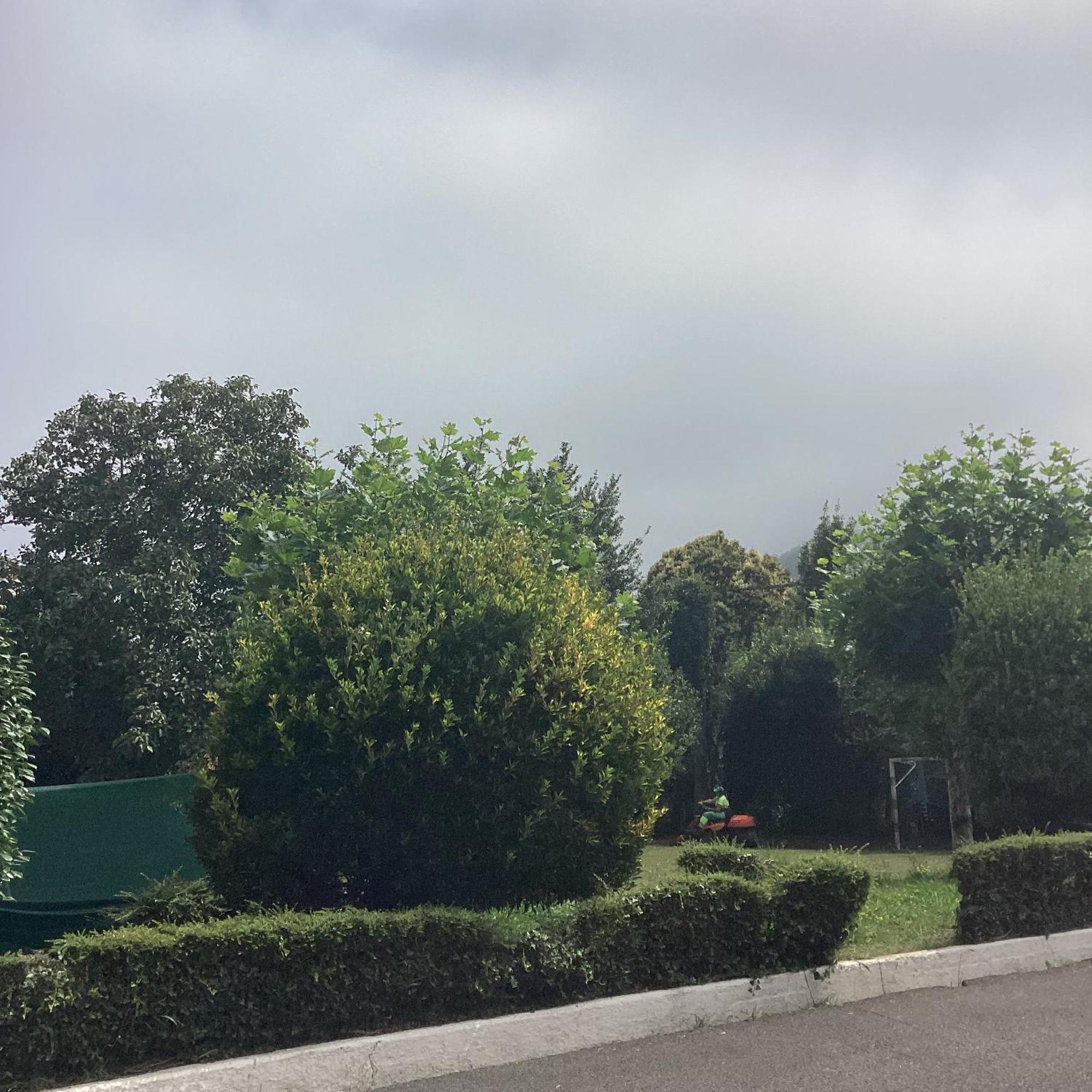 Вилла Corias Casona Junto Al Narcea Экстерьер фото